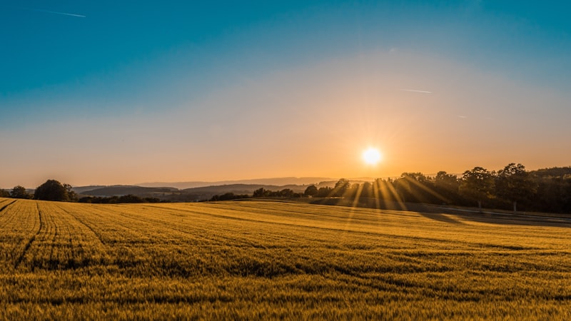 Agriculture & Plantation